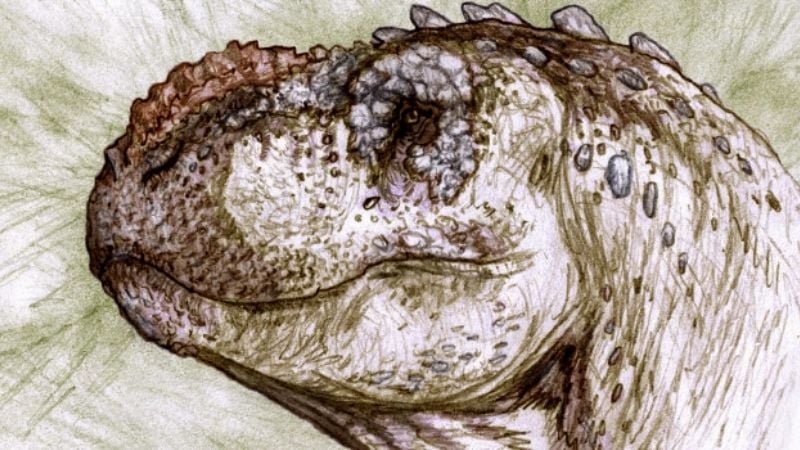 Descubren una nueva especie de dinosaurio carnívoro que habitó la Patagonia