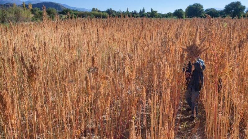 Muestra fotográfica "Territorios"