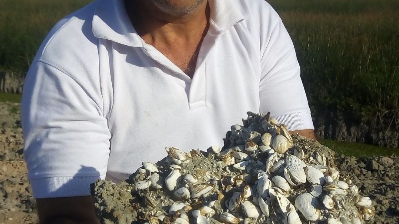 Hallaron restos de una playa marina de cinco mil años de antigüedad