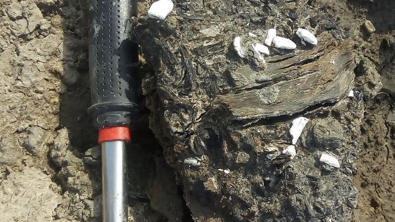 Hallaron restos de una playa marina de cinco mil años de antigüedad