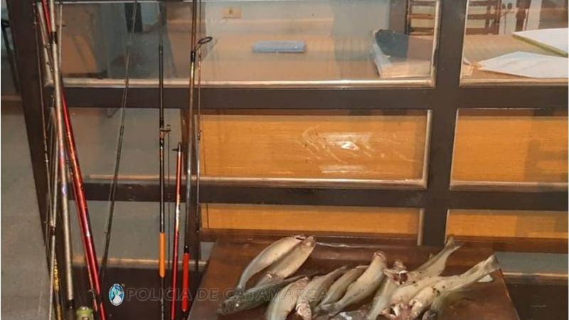 Secuestran pescados y varias cañas de pescar