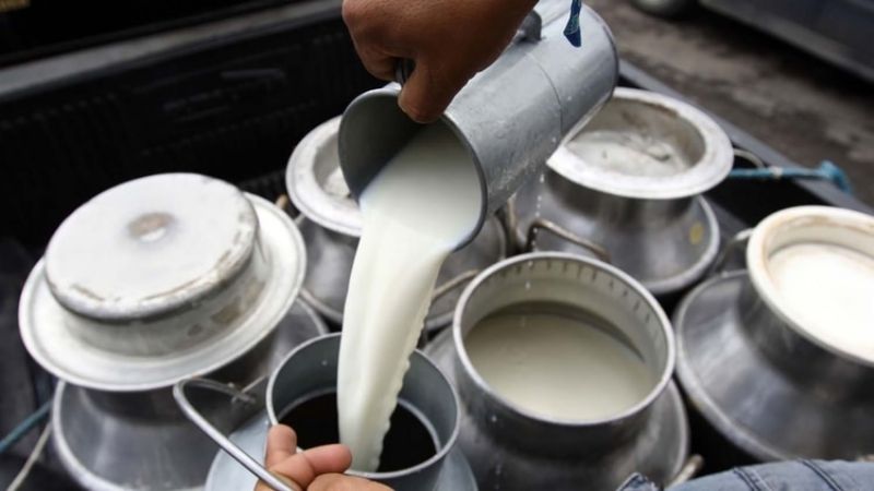 Por falta de energía debió tirar 700 litros de leche