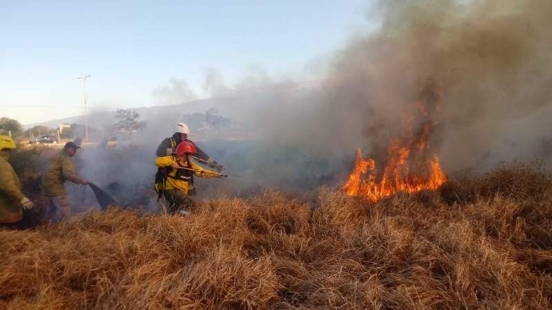 Más de 20 incendios forestales en enero y febrero