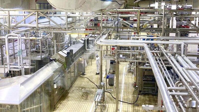 Oportunidades de exportación catamarqueña en Arabia Saudita