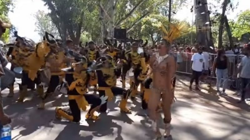 Más de 20.000 personas en el Carnaval Catucho