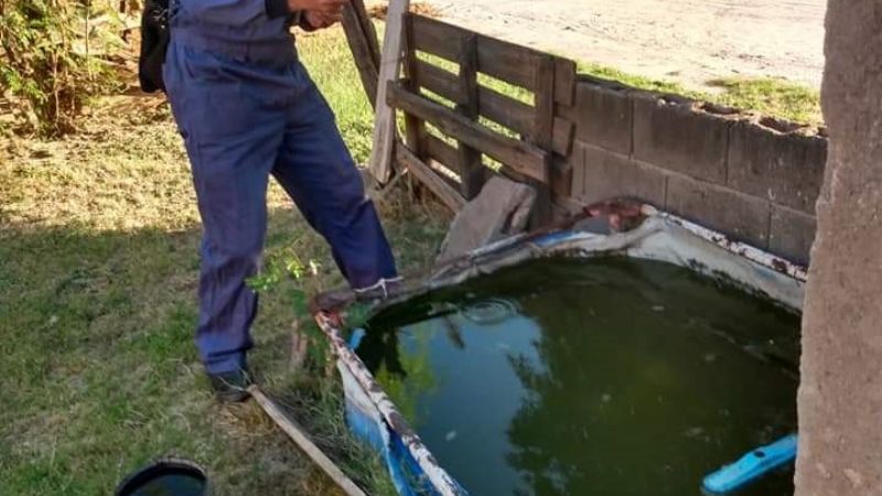 Fuerte operativo de prevención del dengue en Recreo