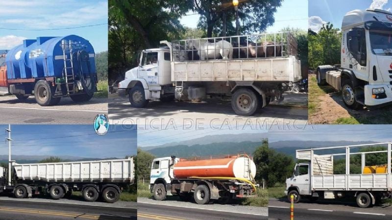 Más de 300 vehículos secuestrados en puestos camineros