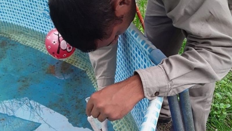 Ya son 8 los casos de dengue: 2 autóctonos