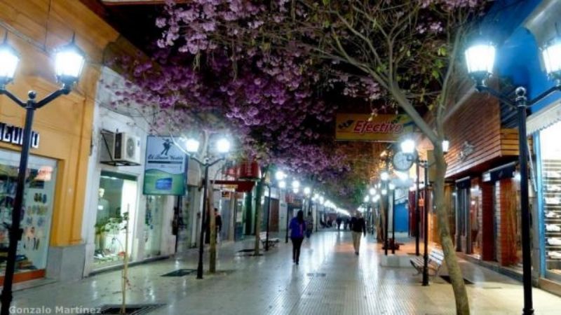 Caen las ventas en grandes centros de consumo del norte