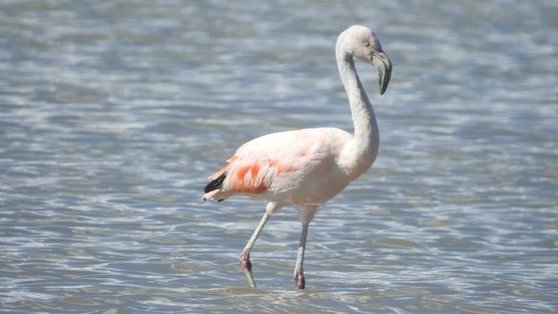 Monitorean todo el día los diques que están cerca de llenarse