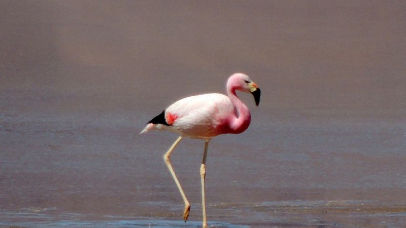 Monitorean todo el día los diques que están cerca de llenarse
