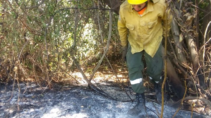 Se controlaron diversos incendios forestales en la provincia