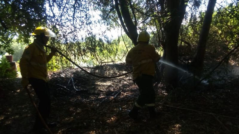 Se controlaron diversos incendios forestales en la provincia
