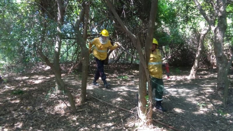Se controlaron diversos incendios forestales en la provincia