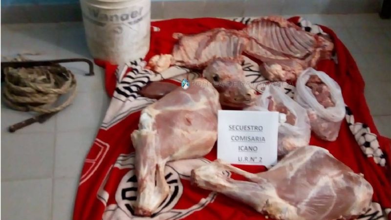 Robaron una vaca de un campo y policías la encontraron faenada