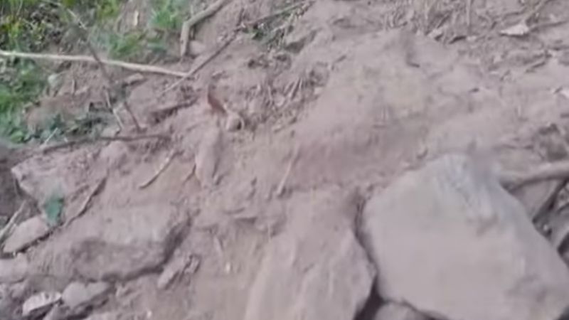 Brutal y macabro asesinato de una joven