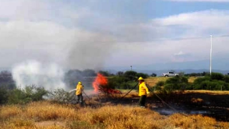 Contienen un incendio forestal en cercanías del Mercado de Abasto