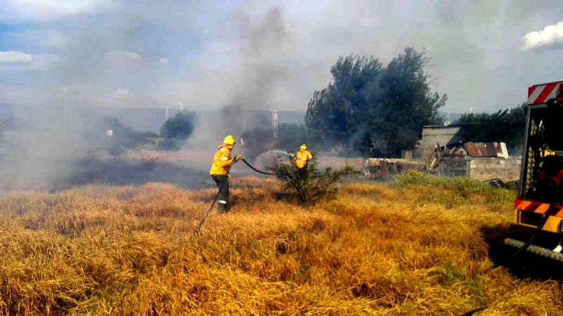 Contienen un incendio forestal en cercanías del Mercado de Abasto