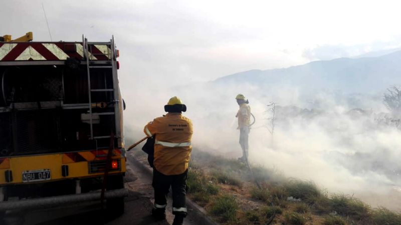 En lo que va del año, se combatieron 45 incendios forestales