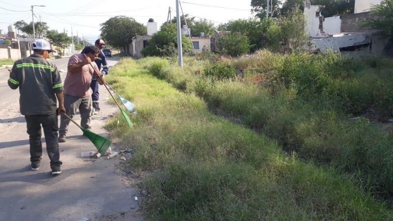 Continúan las tareas de limpieza y descacharrado