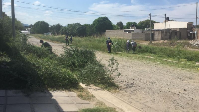 Continúan las tareas de limpieza y descacharrado