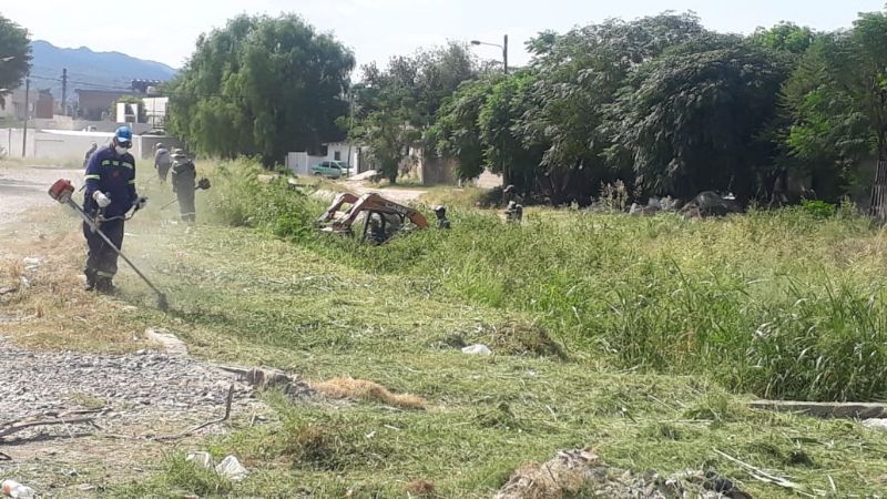 Continúan las tareas de limpieza y descacharrado