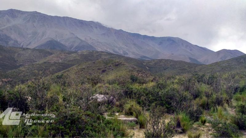 Encontraron sin vida a un hombre en un paraje de Palo Blanco
