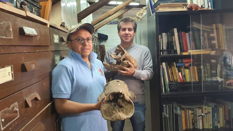 Presentaron un "Yeti sudamericano" de más de 10 mil años de antigüedad