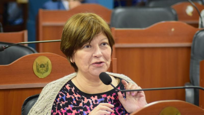 “El pedido de eliminar los concursos de reinas no es algo caprichoso”