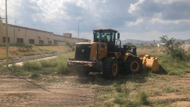 Se trabajó en la prevención y lucha contra el dengue