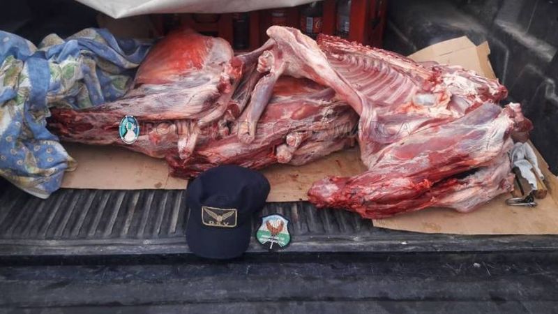 Secuestran 167 vehículos, tres arrestados e incautan un rifle y carne en Santa María