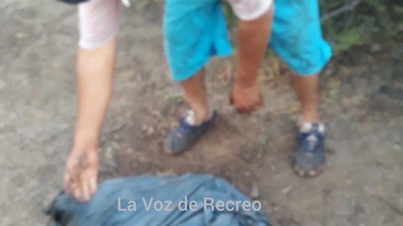 Robaron dos cabrillas, las mataron y abandonaron dentro de una bolsa