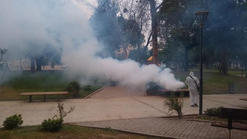 Impresionante despliegue municipal para limpiar toda la ciudad