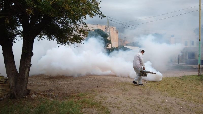 Impresionante despliegue municipal para limpiar toda la ciudad