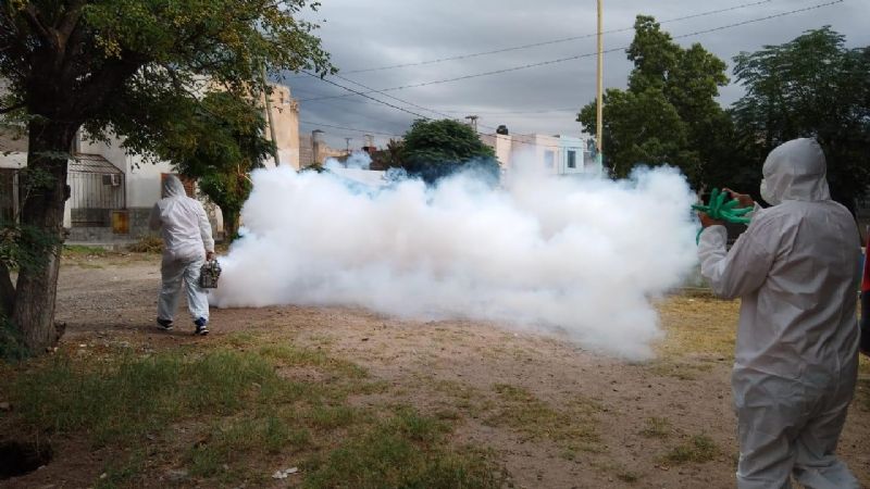 Impresionante despliegue municipal para limpiar toda la ciudad