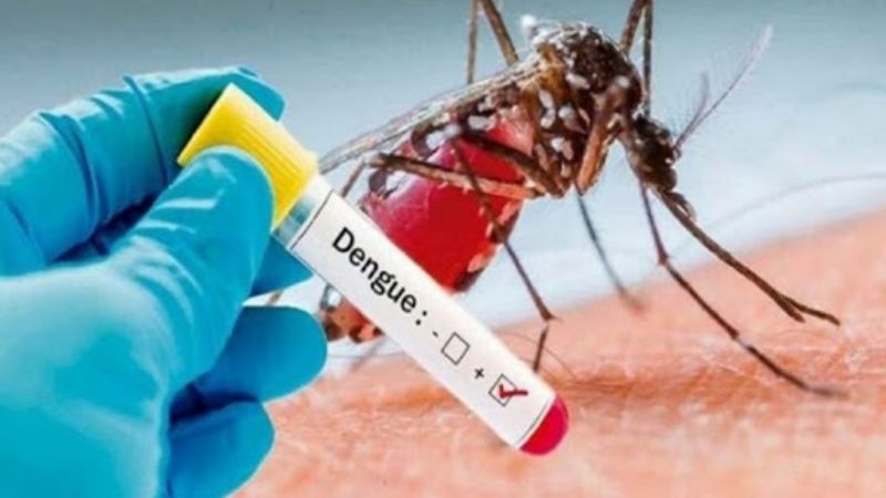 En las últimas horas se sumaron cinco casos más de dengue
