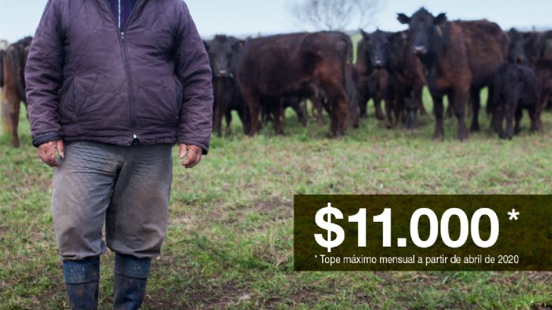 El RENATRE aumentó a 11.000 pesos la prestación por Desempleo