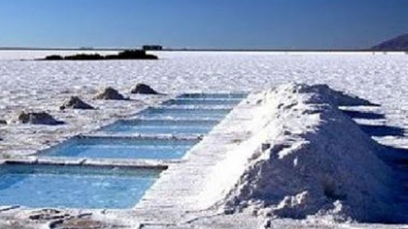 En busca de litio, una empresa australiana se expande en Catamarca