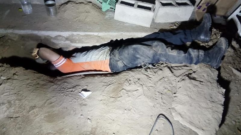 Rescataron a cachorros que estaban debajo de una casa