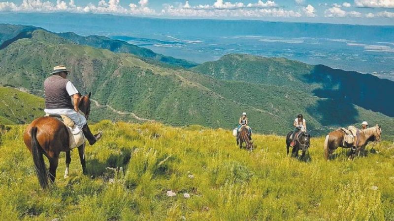 Registro de prestadores turísticos, sin atención hasta el 31 de marzo