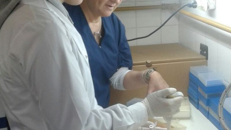 “Podemos tener un destino mejor que el que ha tenido Italia o España”