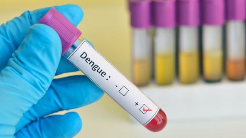 Los casos de dengue siguen en ascenso