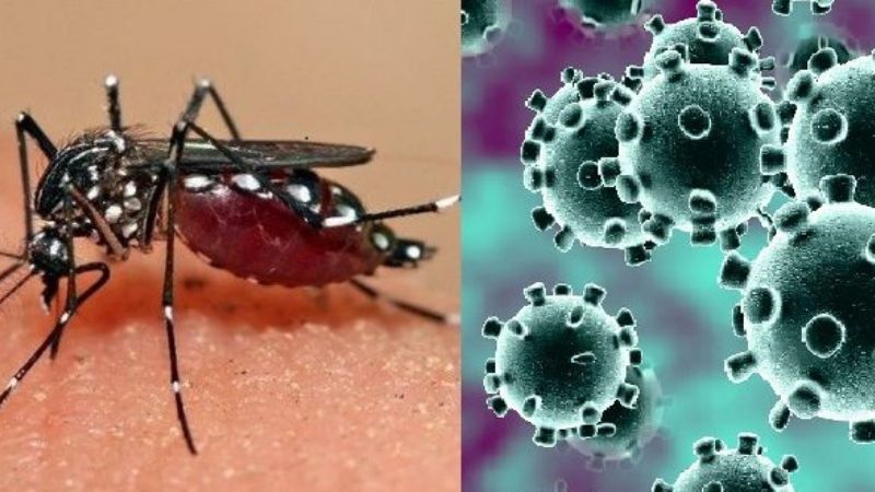 COE reitera la prohibición por decreto para circular en TODO EL PAIS