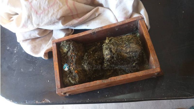 Lo fueron a buscar por robo y descubrieron que escondía marihuana en una caja