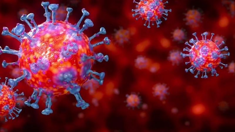 "A partir de junio, la pandemia de coronavirus comenzará a ceder"