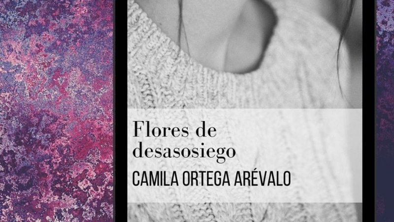 Artistas catamarqueños que editaron libros online para leer en casa