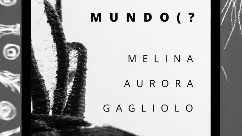 Artistas catamarqueños que editaron libros online para leer en casa