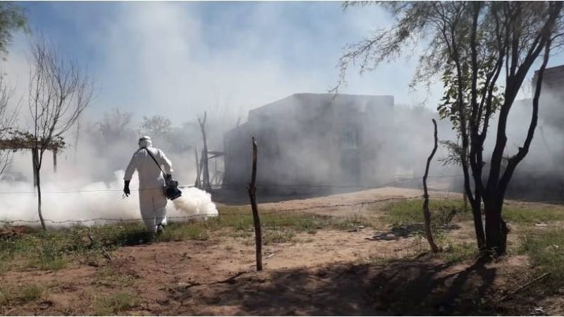 Siguen las tareas de fumigación y descacharrado en Tinogasta