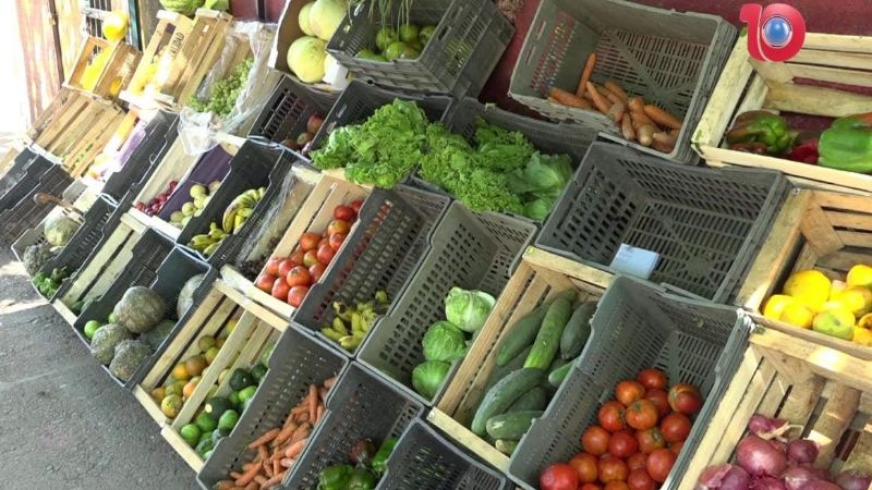 Los precios en verdulerías de Recreo aumentaron casi un 50%
