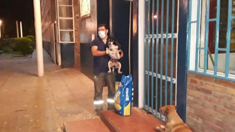 Trabajo solidario en cuarentena